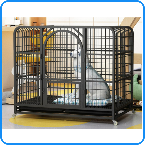 A relevant stock photo of dog cage supplier in a typical setting.