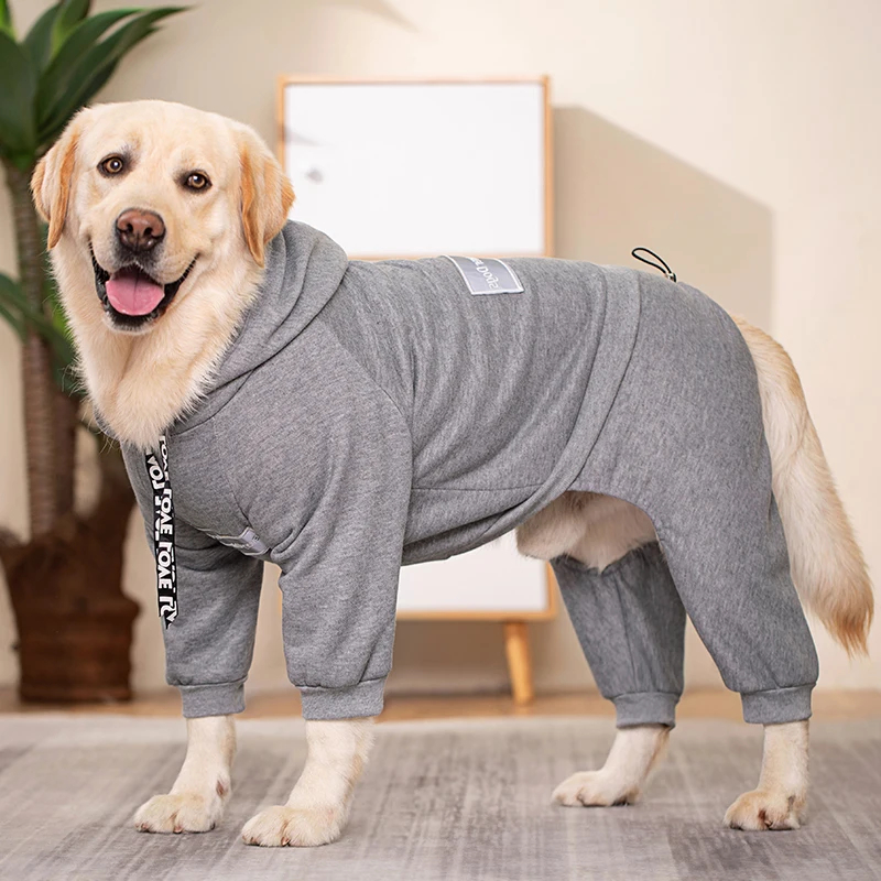 A relevant stock photo of dog clothing supplier in a typical setting.