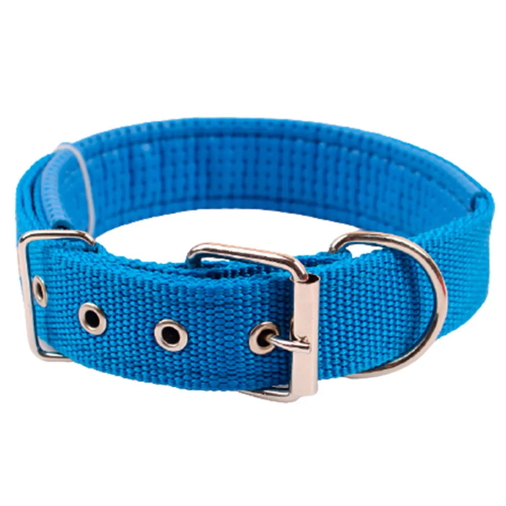 A relevant stock photo of dog collar manufacturer in a typical setting.