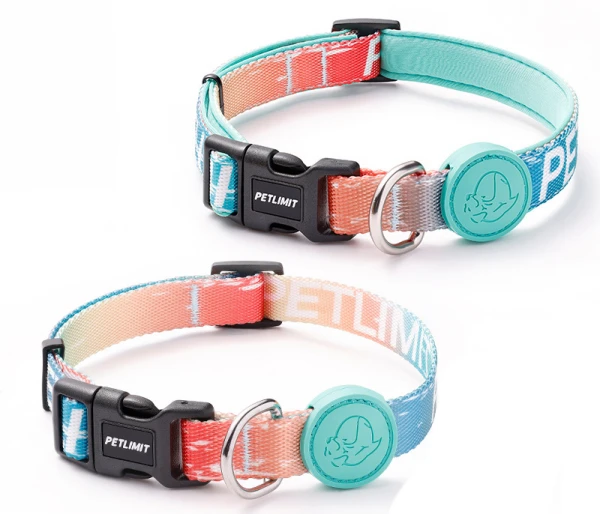 A relevant stock photo of dog collar supplier in a typical setting.