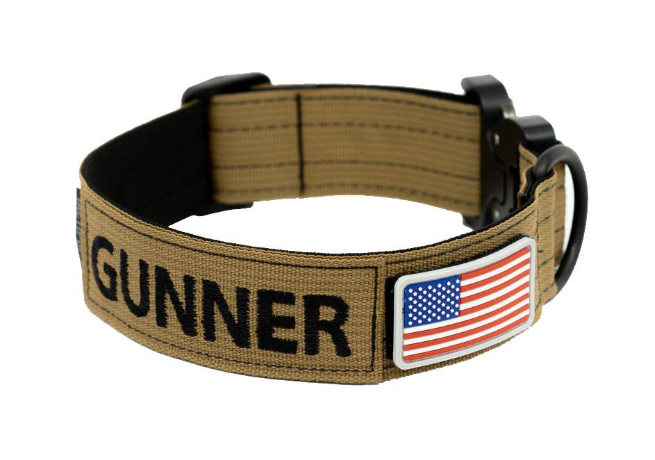 A relevant stock photo of dog collars custom in a typical setting.