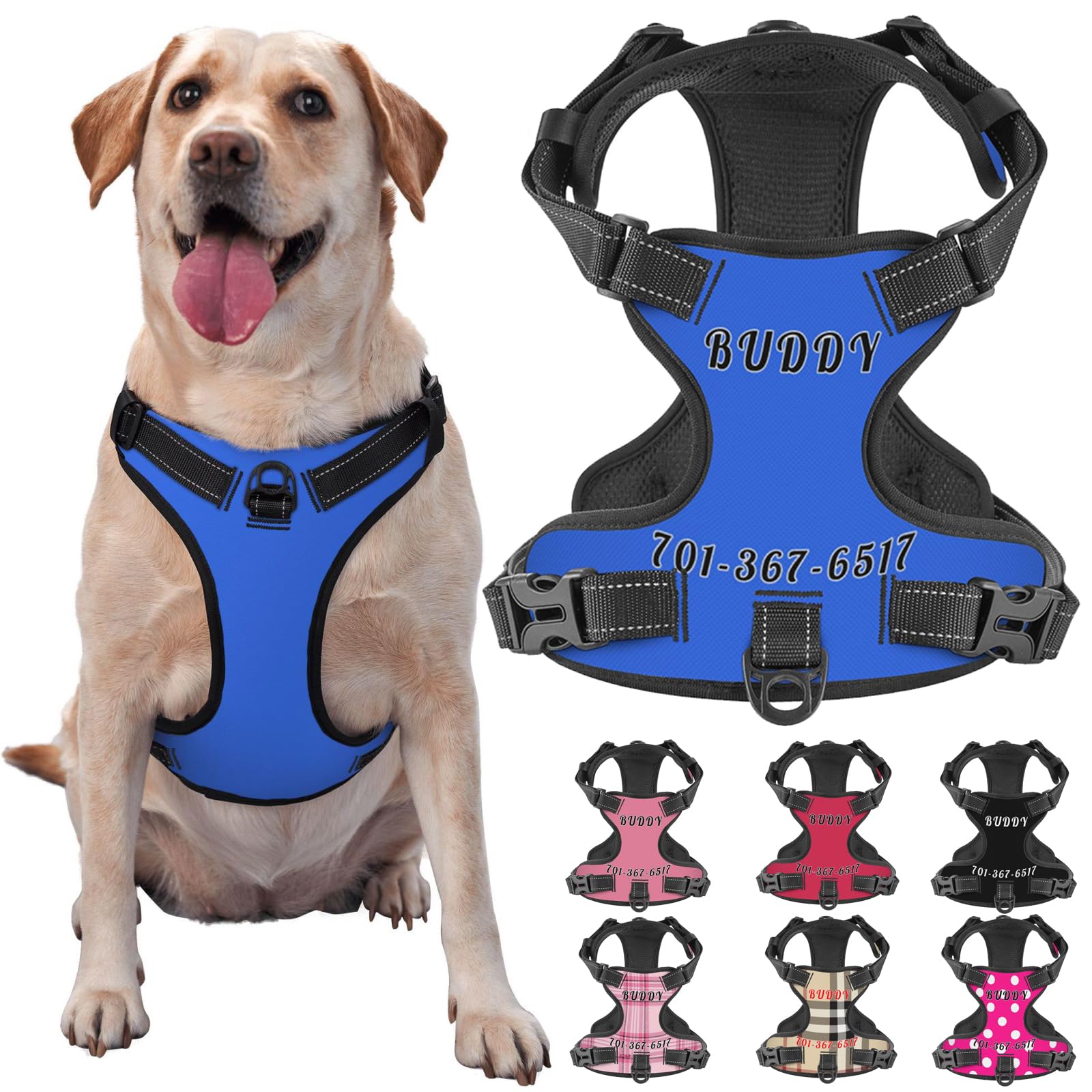 A relevant stock photo of dog harness custom in a typical setting.