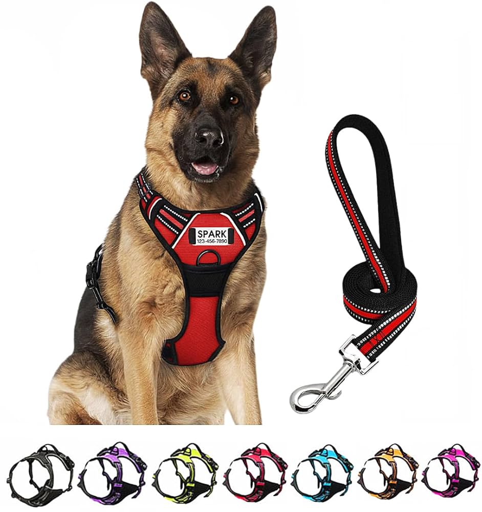 A relevant stock photo of dog harness custom in a typical setting.