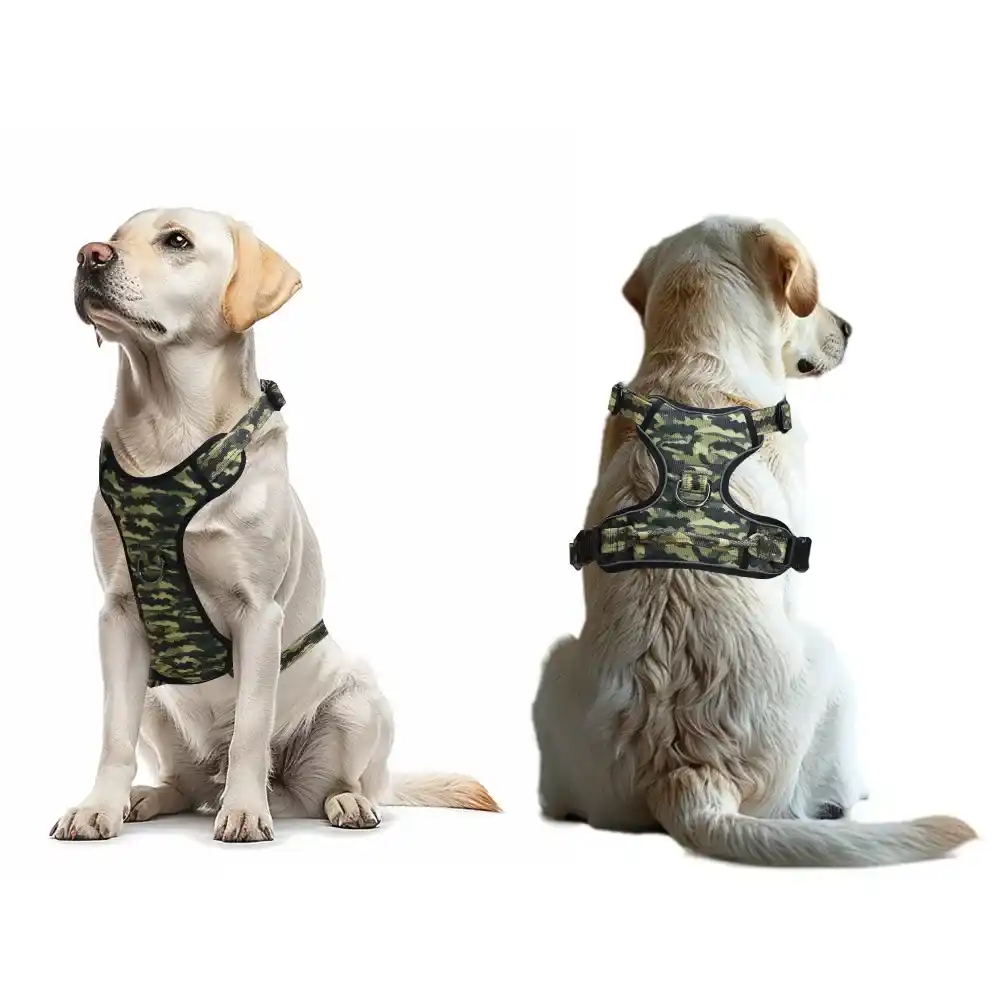 A relevant stock photo of dog harnesse manufacturer in a typical setting.