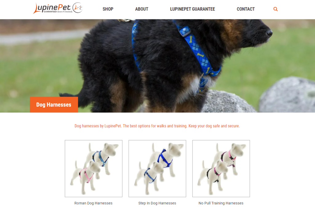 A relevant stock photo of dog harnesse manufacturer in a typical setting.