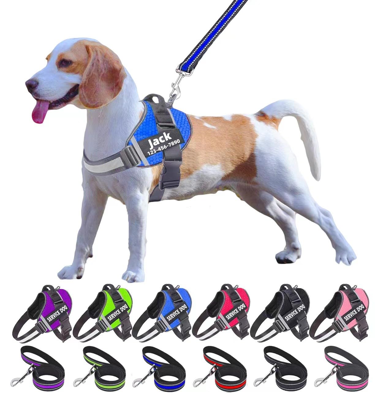 A relevant stock photo of dog harnesses custom in a typical setting.