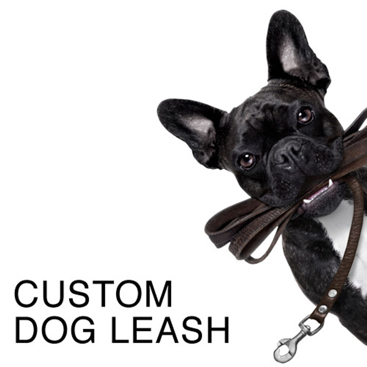 A relevant stock photo of dog leash custom in a typical setting.