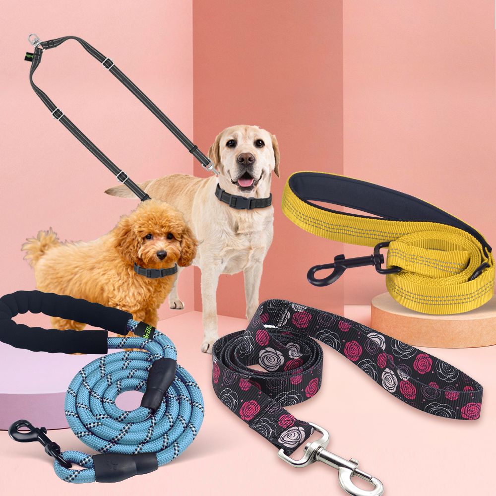 A relevant stock photo of dog leashe manufacturer in a typical setting.