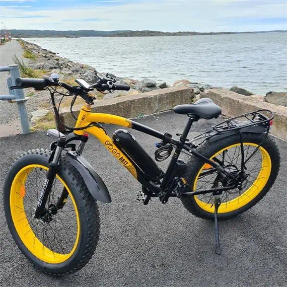 A relevant stock photo of electric bicycle china in a typical setting.