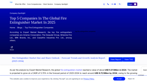 Top 5 Fire Extinguisher Companies in the World - Expert Market Research - fire extinguisher manufacturer