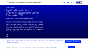 Top 12 Lithium-Ion Battery Companies: EV Market Growth - lithium ion battery manufacturer