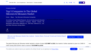 Top 5 Silicones and Siloxanes Companies in the World - silicone manufacturer
