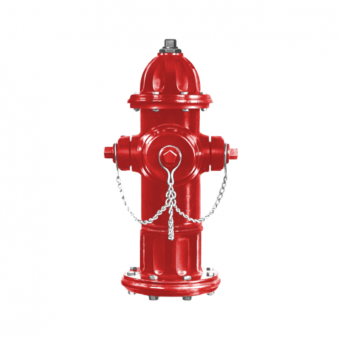 A relevant stock photo of fire hydrant supplier in a typical setting.