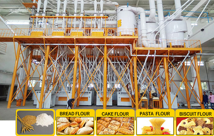 A relevant stock photo of flour mill supplier in a typical setting.