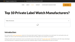 Top 10 Private Label Watch Manufacturers? - flowszone.com - watch manufacturer