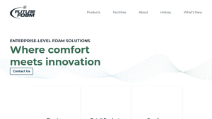 Home - Future Foam - foam manufacturer