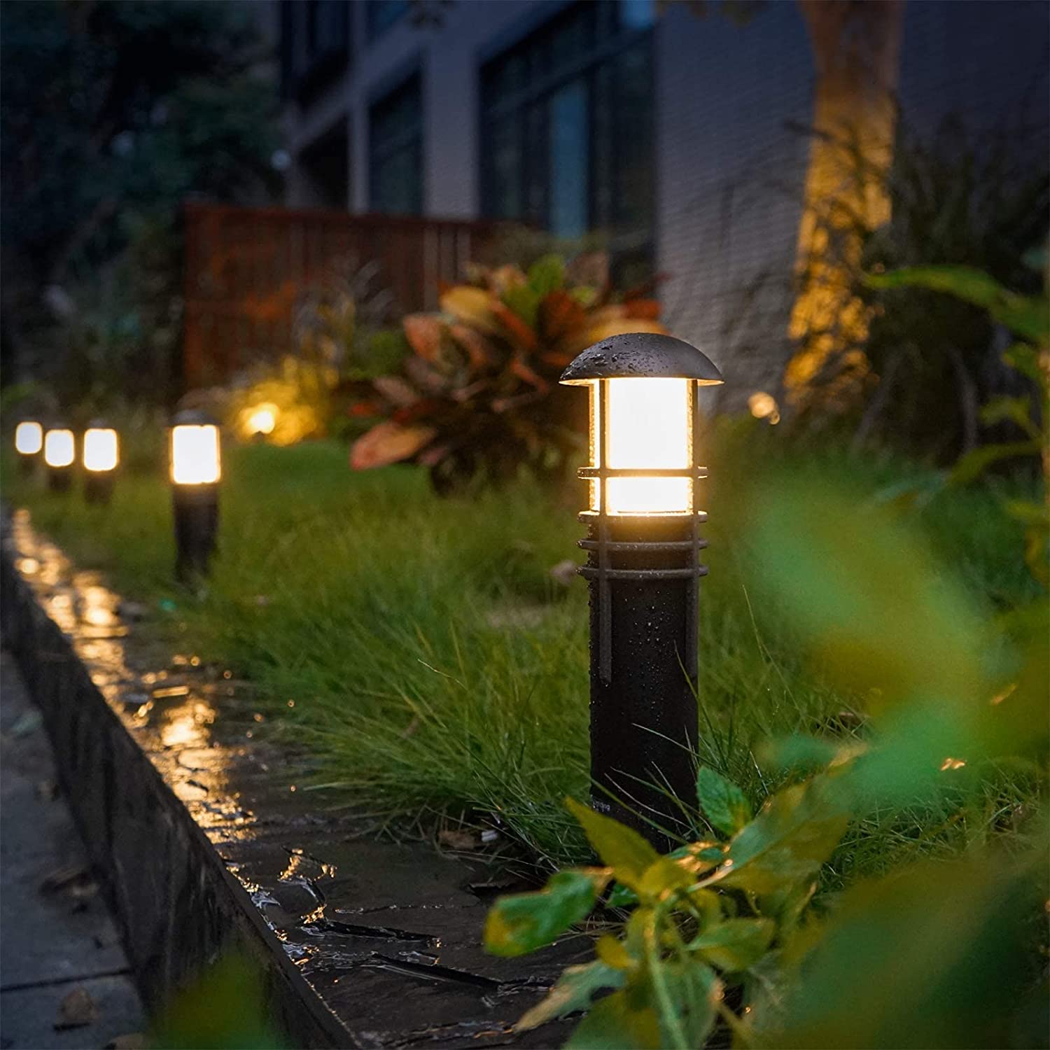 A relevant stock photo of garden light manufacturer in a typical setting.