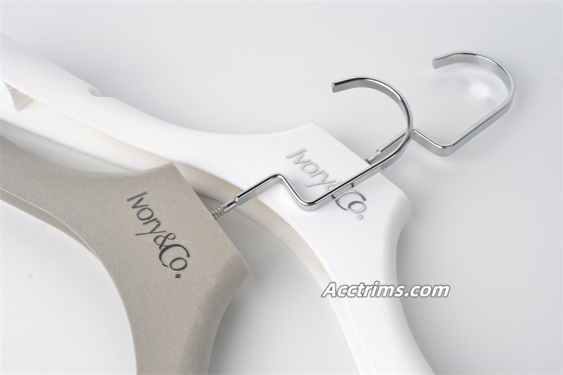 A relevant stock photo of hanger custom in a typical setting.