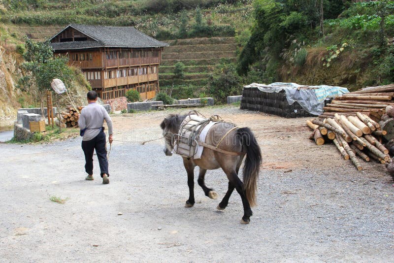 A relevant stock photo of horses china in a typical setting.