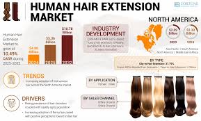 Human Hair Extension Market Size, Share ...