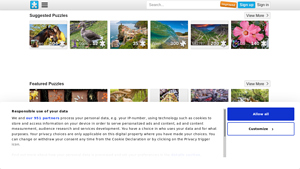 Free Online Jigsaw Puzzles - puzzle manufacturer