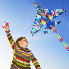 A relevant stock photo of kites supplier in a typical setting.