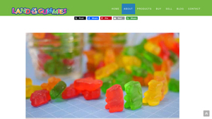 Bulk Gummy Bears | Gummy Manufacturers - Land of the Gummies - gummy bear manufacturer