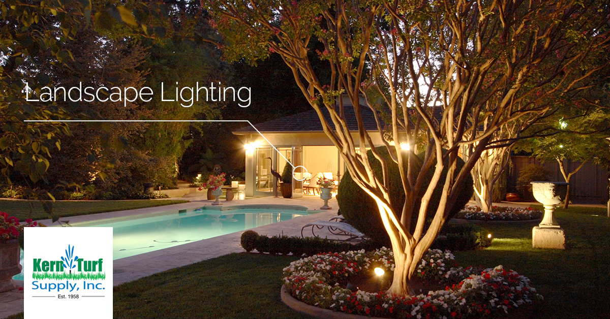 A relevant stock photo of landscape light supplier in a typical setting.