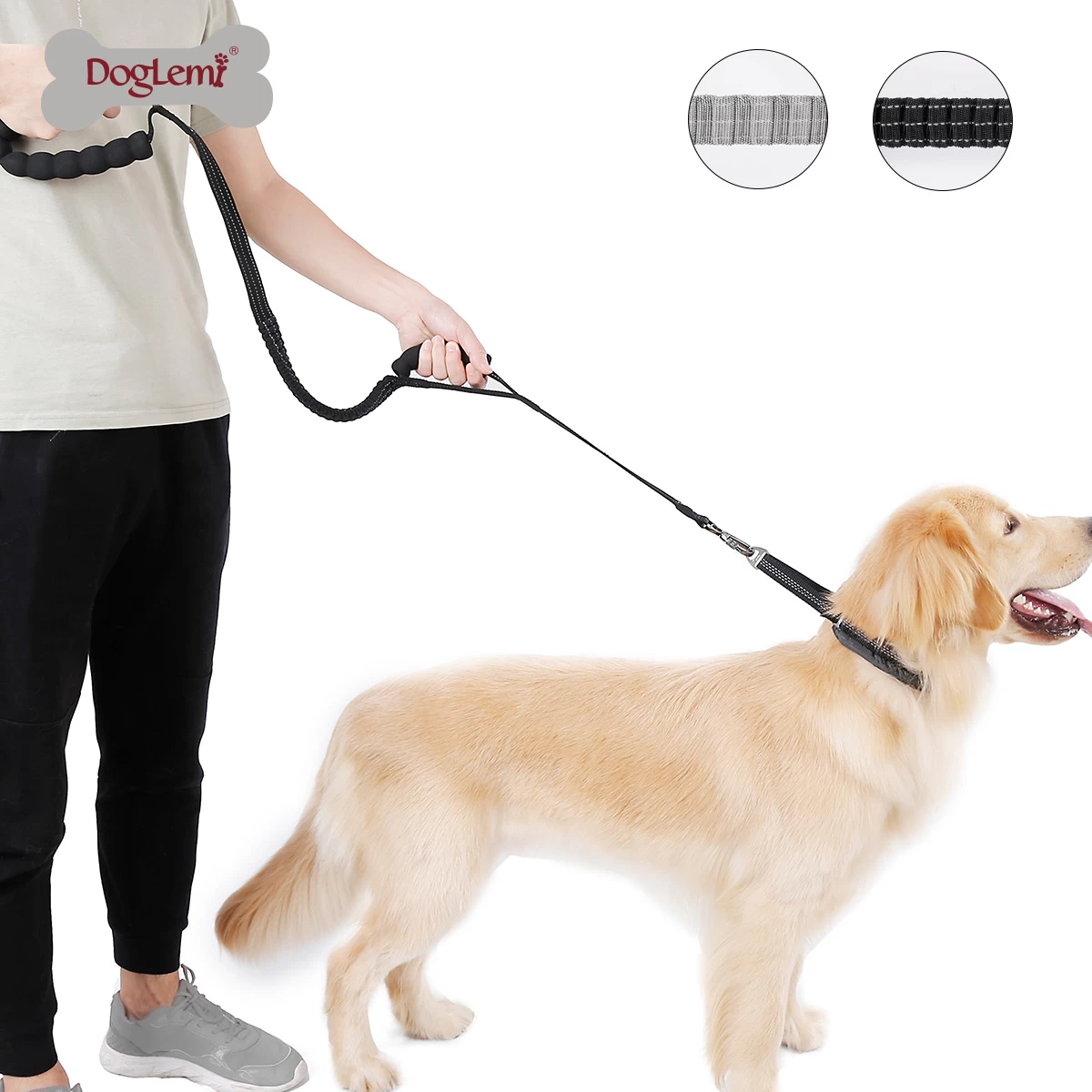 A relevant stock photo of leash manufacturer in a typical setting.