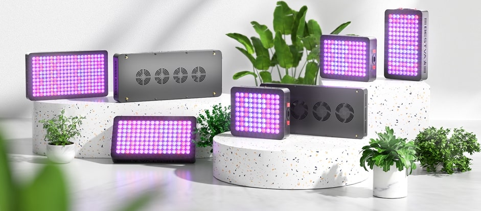 A relevant stock photo of led grow china in a typical setting.