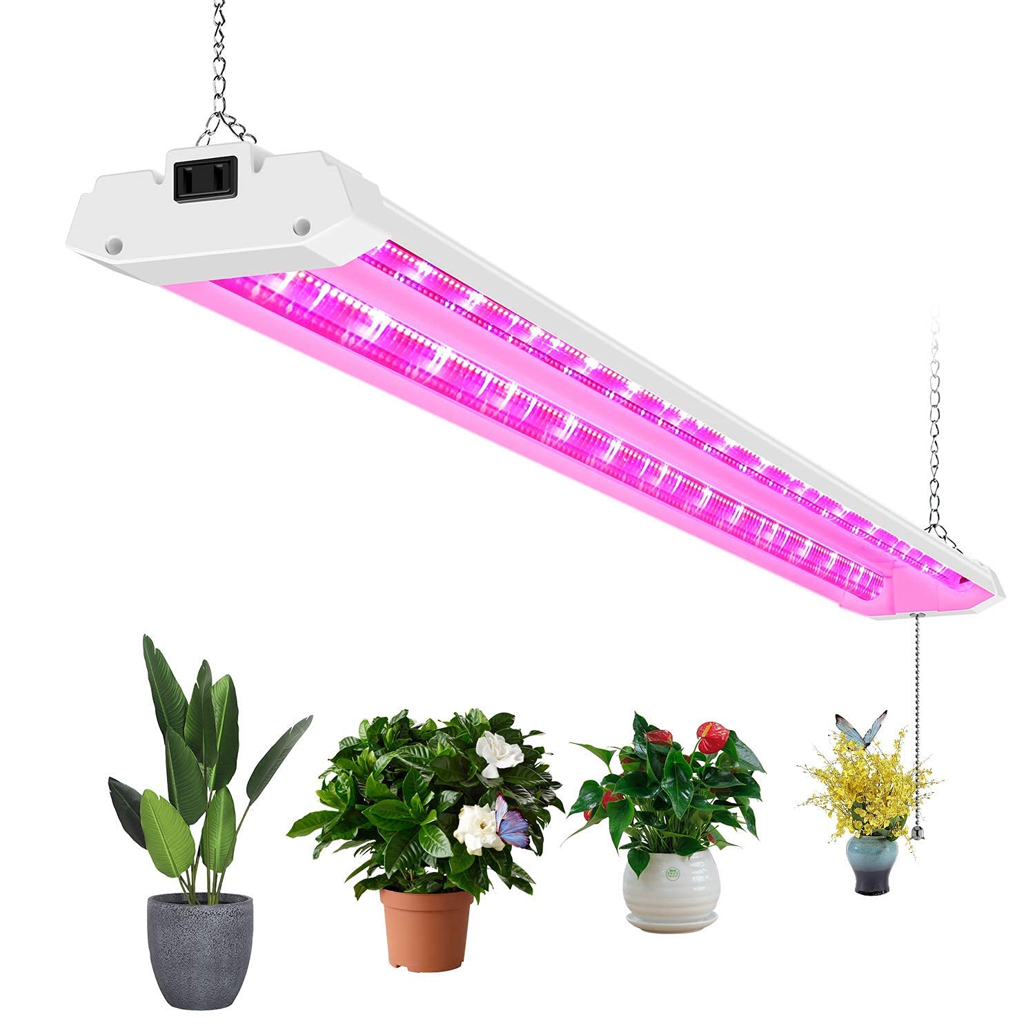 A relevant stock photo of led grow lights supplier in a typical setting.