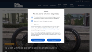 16 Best Chinese Electric Bike Manufacturers - Let's Chinese - electric bike manufacturer