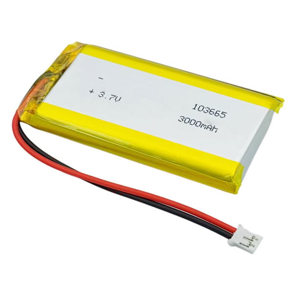 A relevant stock photo of lithium polymer battery supplier in a typical setting.