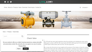 China Check Valve Suppliers, Manufacturers and Factory - LYV® - check valve manufacturer