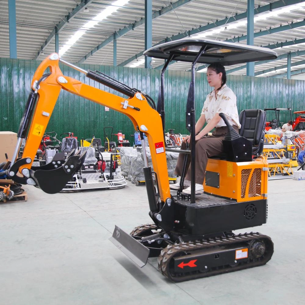 A relevant stock photo of mini excavator china in a typical setting.