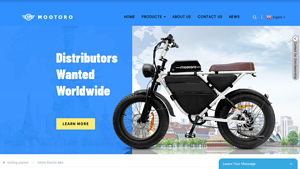 China 1000w Electric Bike Manufacturers and Suppliers, Factory - 1000w electric bike factory