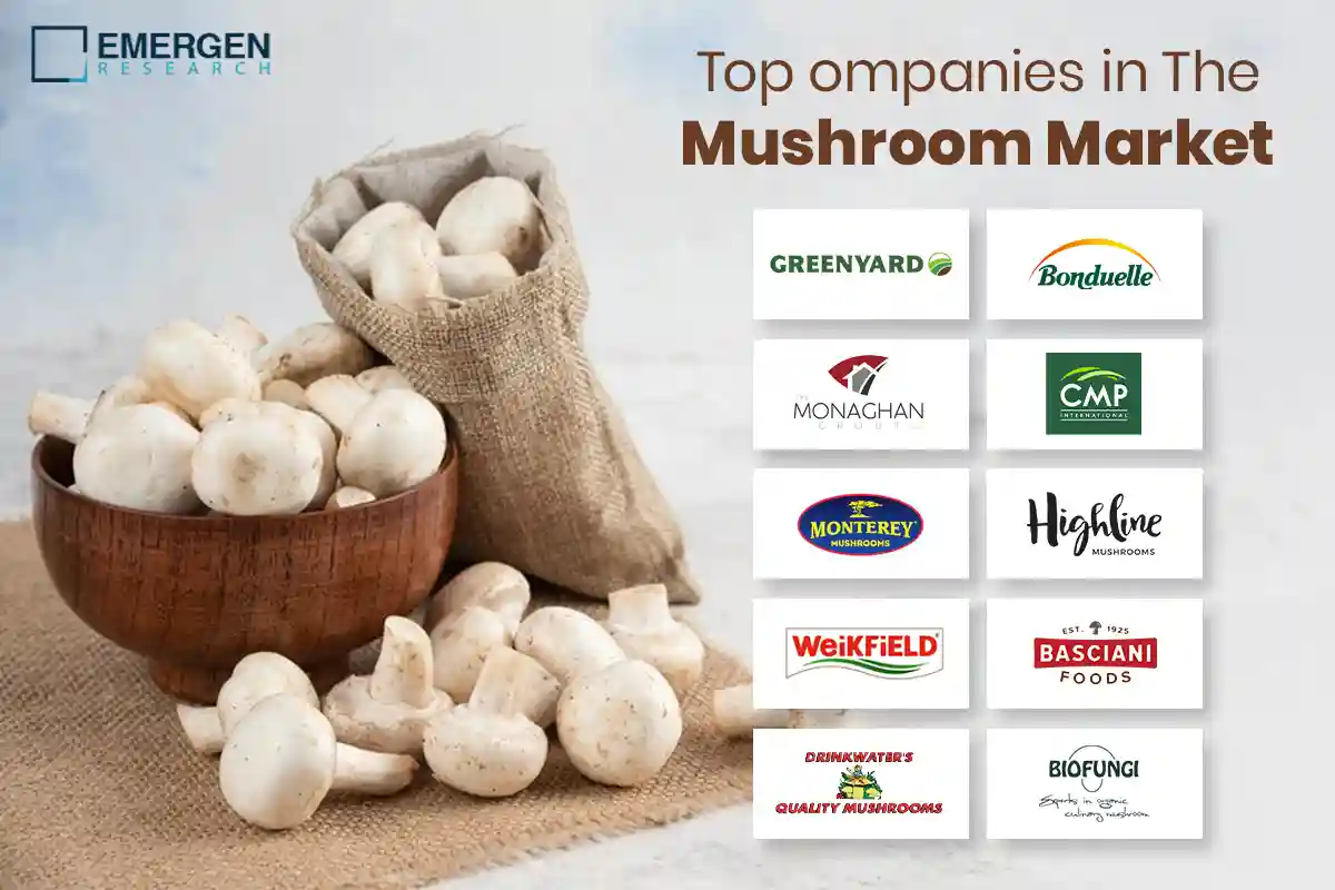 A relevant stock photo of mushroom manufacturer in a typical setting.