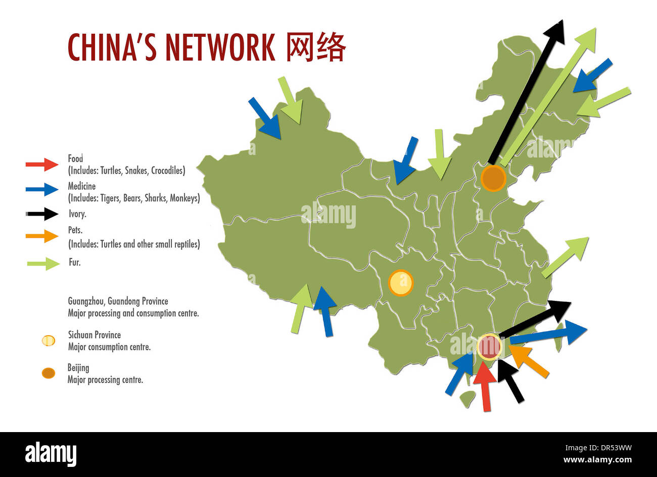 A relevant stock photo of network china in a typical setting.