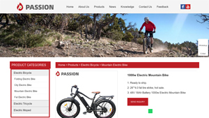 China 1000w Electric Mountain Bike Manufacturers Suppliers Factory - 1000w electric bike factory