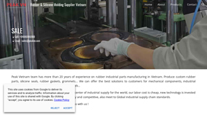 Rubber & Silicone Molding Supplier Vietnam - rubber parts manufacturer