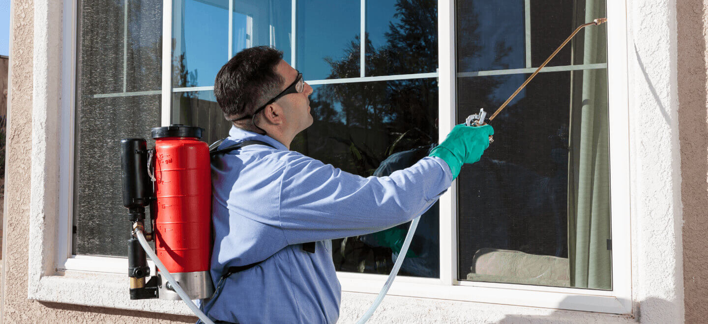 A relevant stock photo of pest control manufacturer in a typical setting.