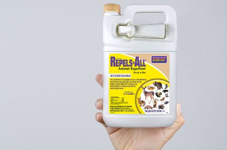 A relevant stock photo of pest control supplier in a typical setting.