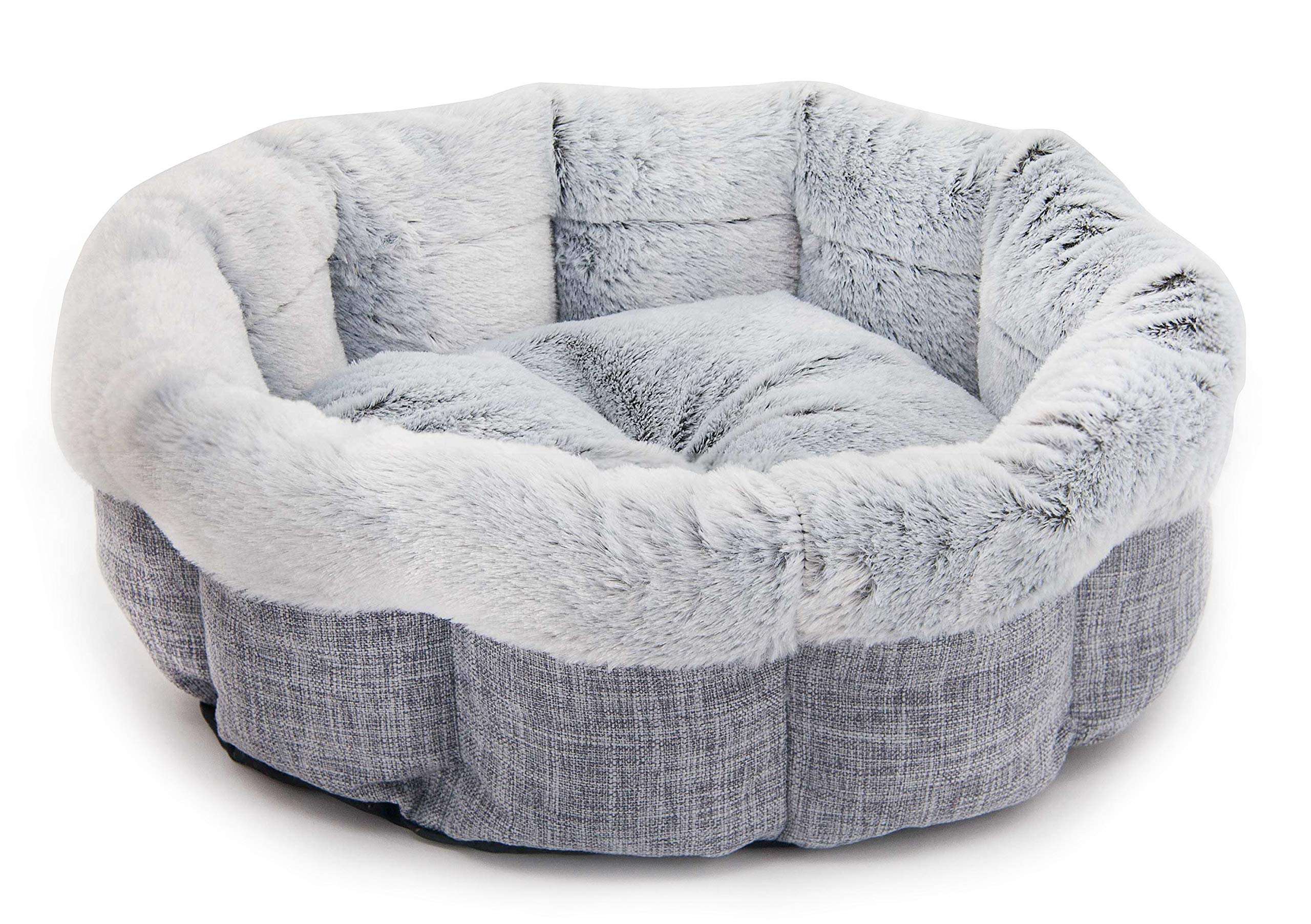A relevant stock photo of pet bed supplier in a typical setting.