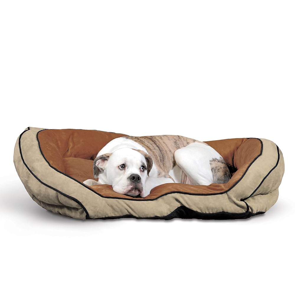 A relevant stock photo of pet bed supplier in a typical setting.