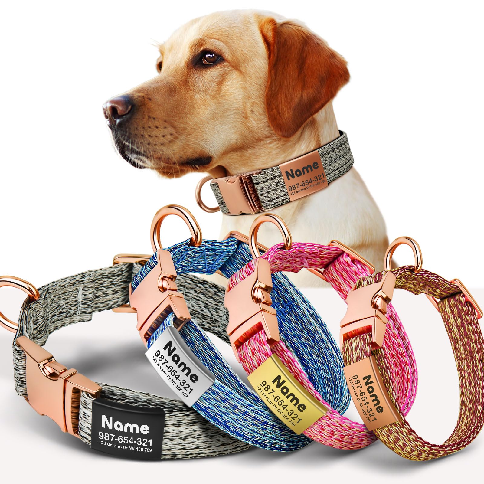 A relevant stock photo of pet collars custom in a typical setting.