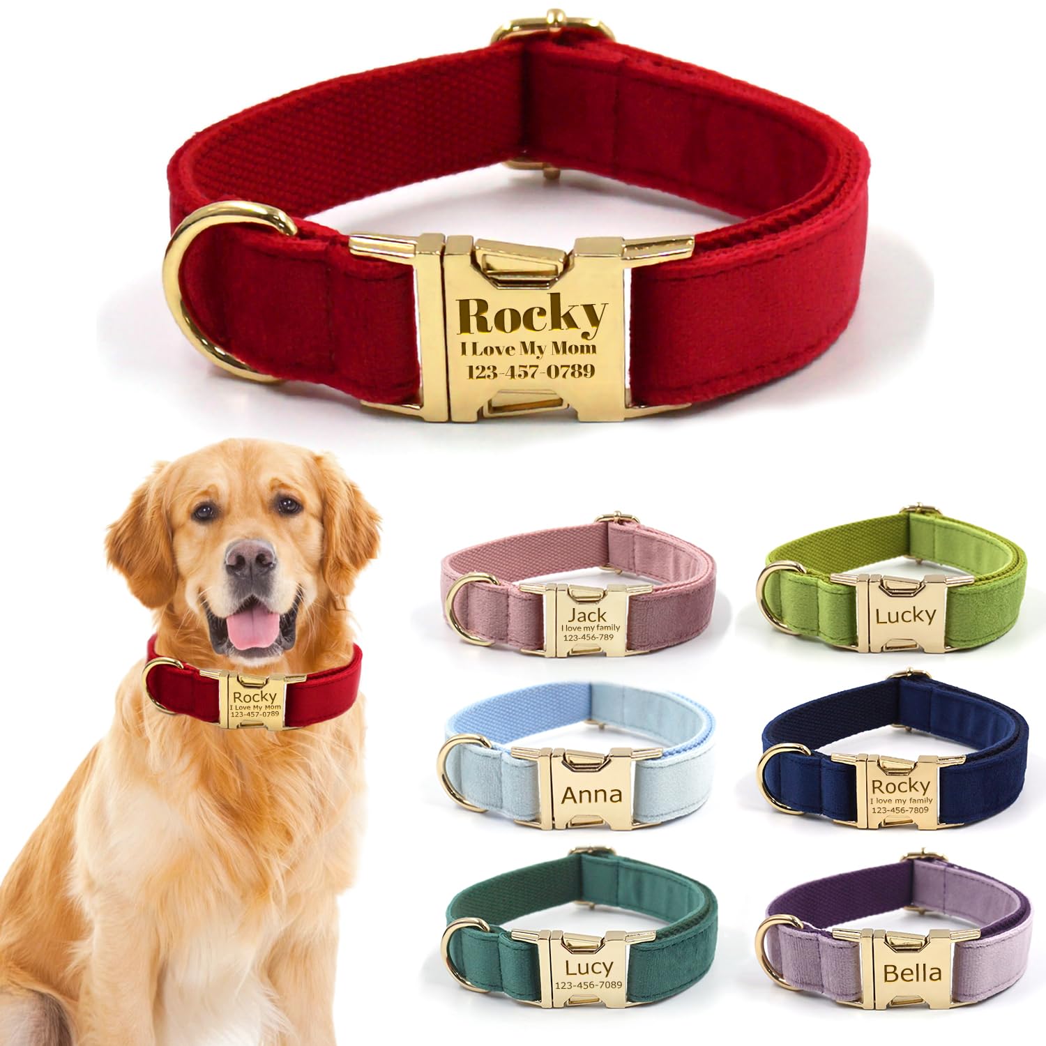 A relevant stock photo of pet collars custom in a typical setting.
