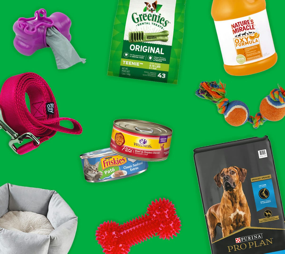 A relevant stock photo of pet product supplier in a typical setting.