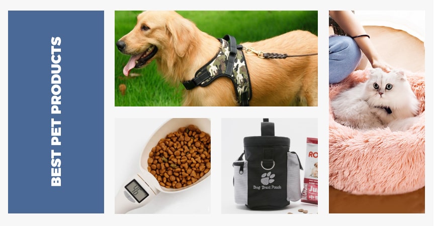 A relevant stock photo of pet product supplier in a typical setting.