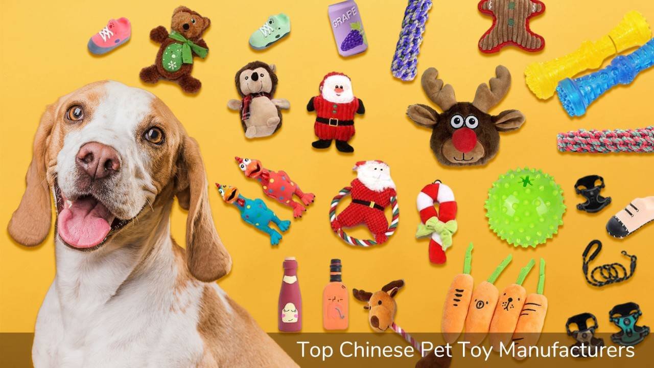 A relevant stock photo of pet toys supplier in a typical setting.
