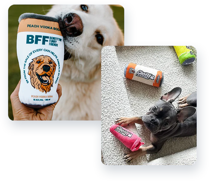 A relevant stock photo of pet toys supplier in a typical setting.
